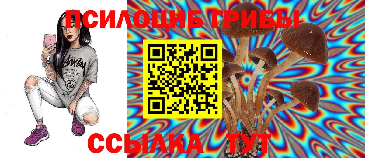 Кольчугино  Псилоцибиновые грибы мицелий  Вход с VPN 