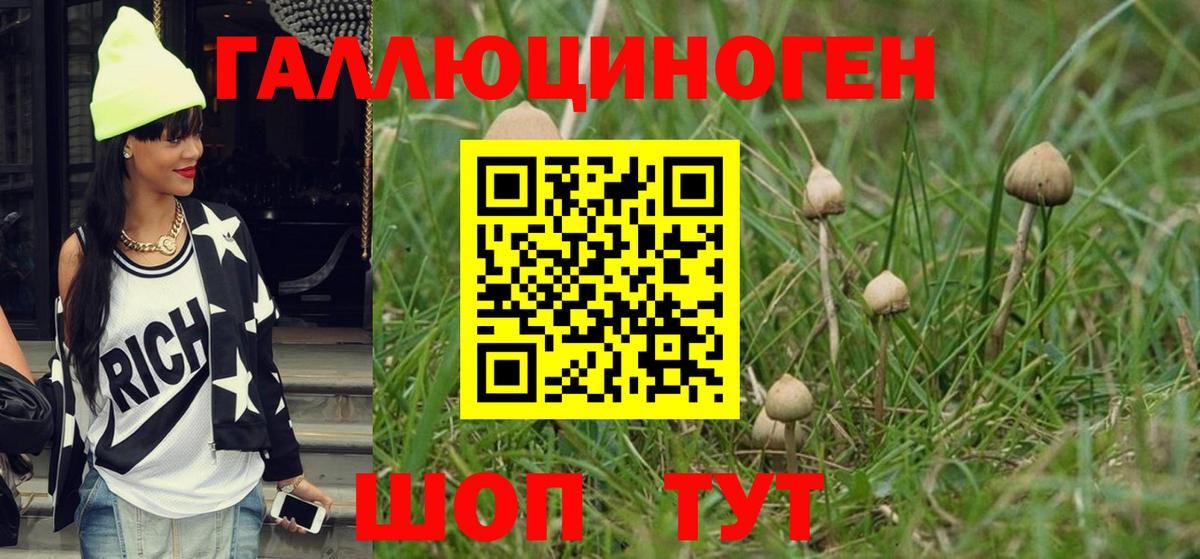 Псилоцибиновые грибы MAGIC MUSHROOMS Кольчугино