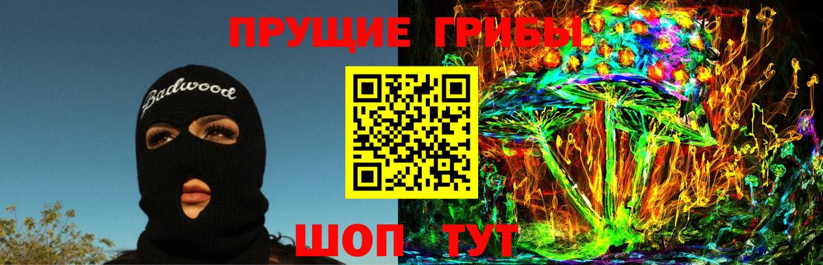 Псилоцибиновые грибы Psilocybe  Галлюциногенные грибы мицелий  как найти   Кольчугино 